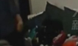 西安媳妇爆料事件真相视频,还原事件背后惊人内幕